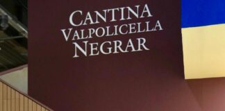 Daniele Accordini Cantina Valpolicella Negrar