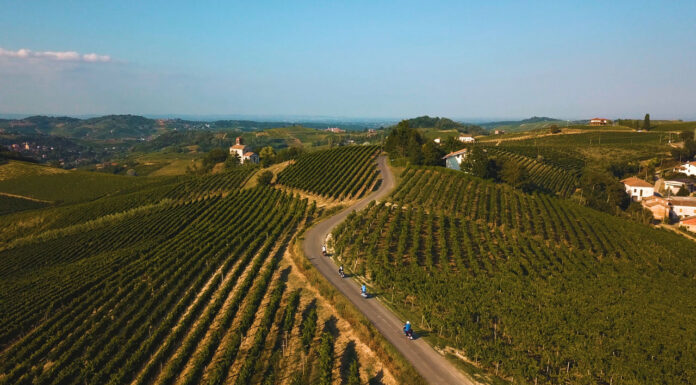 Monferrato: i tre consorzi protagonisti della filiera vitivinicola siglano il patto per il futuro