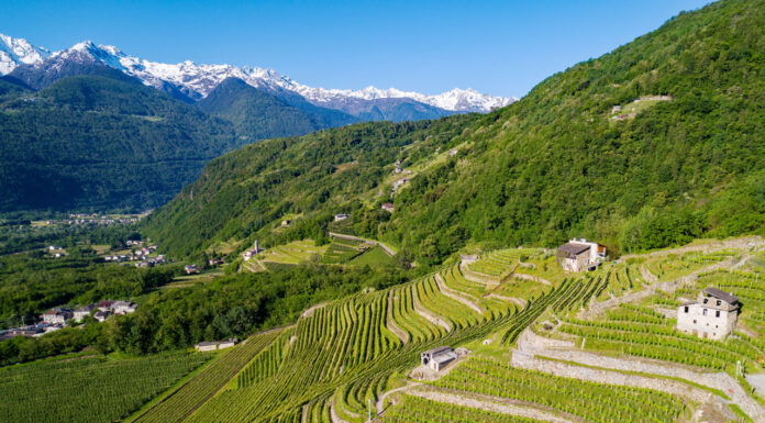 5,2 milioni di Euro per i vigneti lombardi