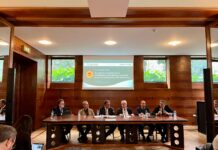 Pinot Grigio DOC delle Venezie