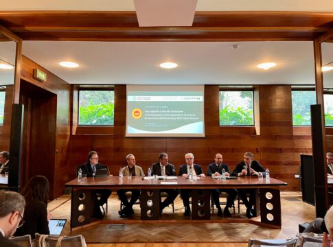 Pinot Grigio DOC delle Venezie