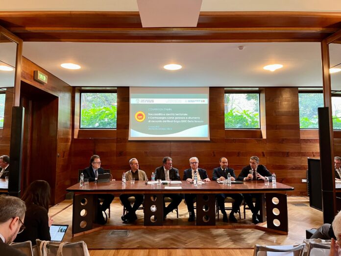 Pinot Grigio DOC delle Venezie