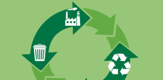 Transizione digitale e circolare nel vino: tre modelli per la sostenibilità del settore