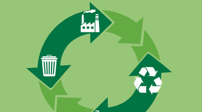 Transizione digitale e circolare nel vino: tre modelli per la sostenibilità del settore