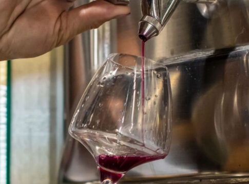 Enology Portal: da repository a strumento di supporto alla vinificazione