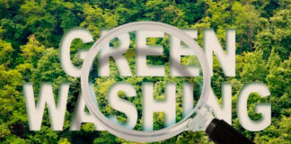 Stretta greenwashing: cosa cambia?