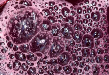 Lieviti non-Saccharomyces e fermentazioni miste per ridurre l’alcol nei vini