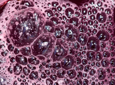 Lieviti non-Saccharomyces e fermentazioni miste per ridurre l’alcol nei vini