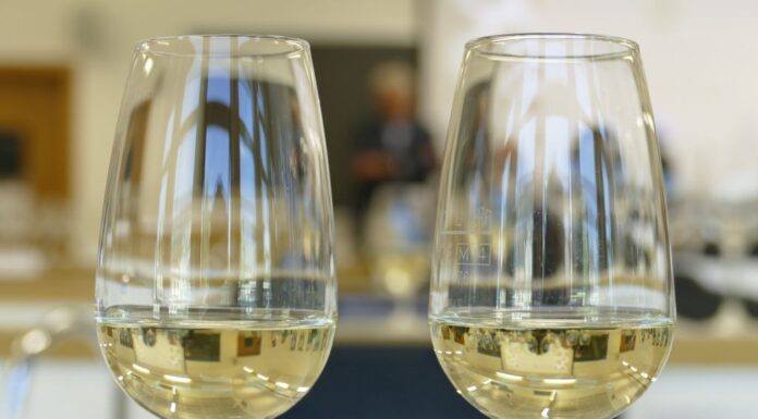FEM, IX Concorso sui vini del territorio: aperte le iscrizioni