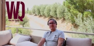 Calabria, viticoltura eroica che resiste