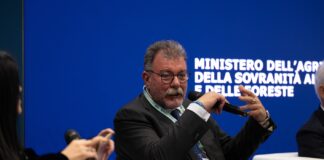 Consorzio DOC delle Venezie e Consorzio DOC Prosecco: strategie di internazionalizzazione Luca Rigotti, Presidente Consorzio DOC Delle Venezie