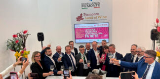 Vitelab Network, il Nord Italia unito per la ricerca applicata nel settore vitivinicolo