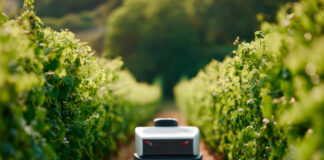 Coldiretti: una cantina su tre investe sul digitale tra robotica, AI e 5G