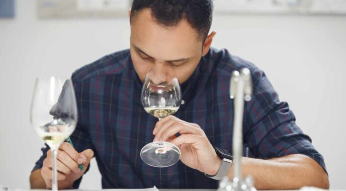 Il vino parla attraverso metafore