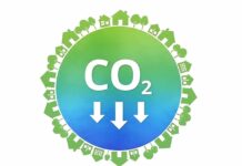Decarbonizzare la filiera vitivinicola