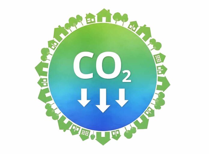 Carbon dioxide absorption by trees