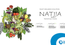 NATJJA™, nutrizione organica per lieviti e aromi del vino Natjja