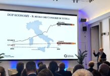 Il report Mediobanca sul settore vitivinicolo italiano