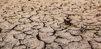 Earth Overshoot Day, i rischi derivanti dalla perdita di terreni fertili