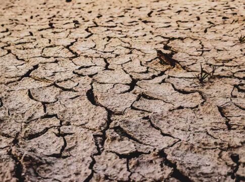 Earth Overshoot Day, i rischi derivanti dalla perdita di terreni fertili