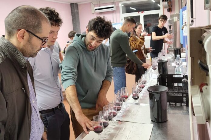 assaggi alla cantina di microvinificazione (1)