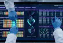 Nuove evidenze sulla piramidazione di geni nelle varietà resistenti