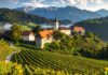 Comuni montani, Radica (Città del Vino): “Preoccupazione, governo si fermi”