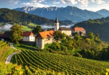 Comuni montani, Radica (Città del Vino): “Preoccupazione, governo si fermi”