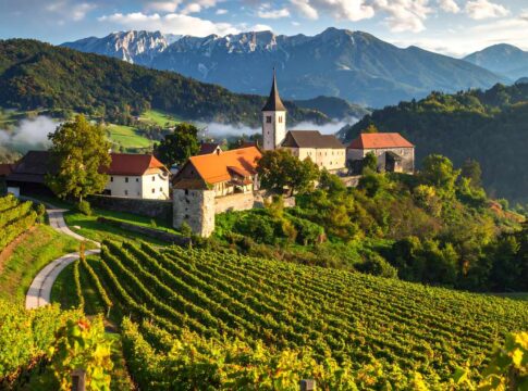 Comuni montani, Radica (Città del Vino): “Preoccupazione, governo si fermi”