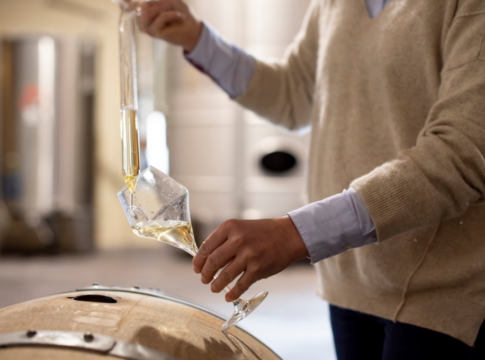 Vinventions Italia svela i segreti della longevità dei vini bianchi di Borgogna webinar Vinventions