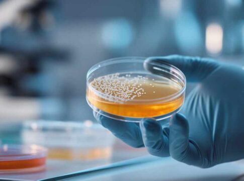 Bioprotezione e innovazione enologica