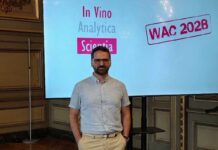 Il ricercatore FEM Panagiotis Arapitsas alla guida del comitato scientifico di IVAS