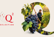 Q² Selection: quando quantità e qualità diventano alleate q2 selection