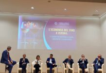 Vino: Verona leader in Italia, ma la contrazione pesa sull’intera economia