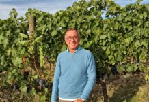 Montecucco, il grande caldo non frena la qualità delle uve