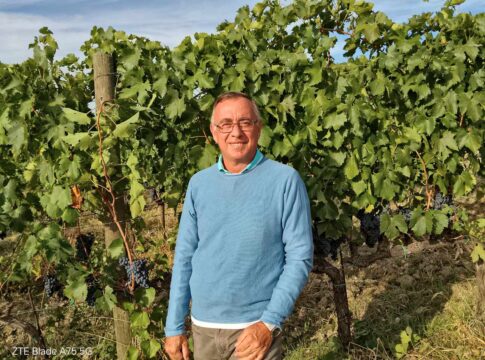 Montecucco, il grande caldo non frena la qualità delle uve