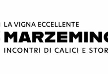 La Vigna Eccellente edizione 2026: il Marzemino tra memoria e futuro