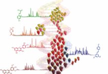 FEM realizza il primo atlante metabolomico dell’uva al mondo