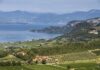 Una vendemmia di qualità per il centenario del Bardolino