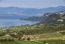 Una vendemmia di qualità per il centenario del Bardolino