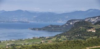 Una vendemmia di qualità per il centenario del Bardolino