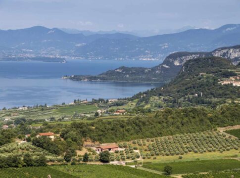 Una vendemmia di qualità per il centenario del Bardolino