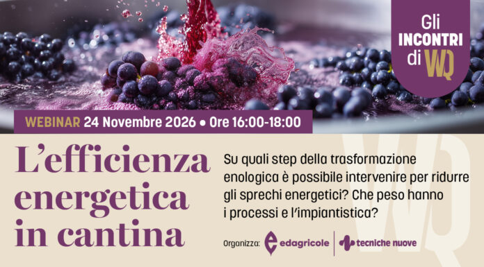 696x385_ED-TN26_061_GGli incontri di VVQ_Webinar Enologico