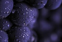 La qualità delle fermentazioni parte dal vigneto