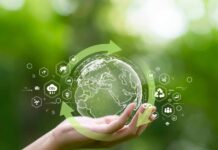 Digitalizzazione ed economia circolare nella filiera vitivinicola
