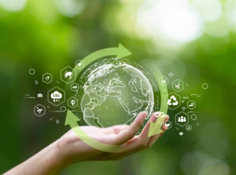 Digitalizzazione ed economia circolare nella filiera vitivinicola