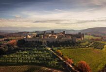 GPVI 2026, oggi la prima Giornata del Paesaggio Vitivinicolo Italiano