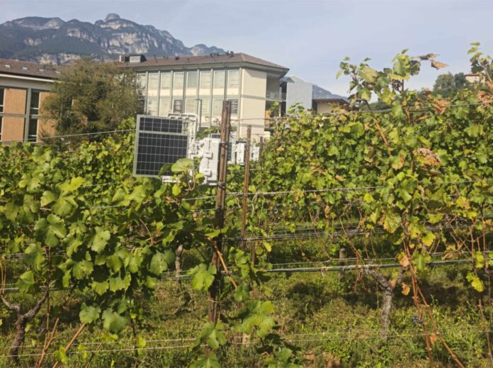 Vigneto_vibrazionale_FEM
