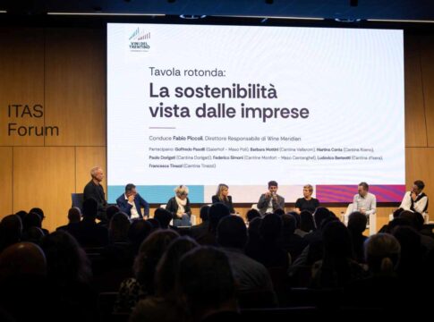 Vini del Trentino, il terzo Bilancio di sostenibilità diventa un piano d’azione