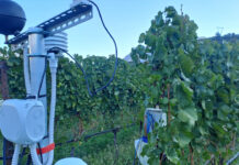 Agricoltura 4.0 e tracciabilità, il modello FEM al centro del confronto internazionale